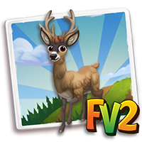 deerstagkahmir
