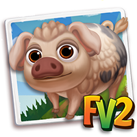 pigmulefootspotted
