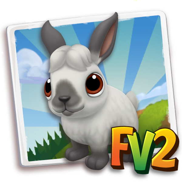 rabbitcaliforniangray